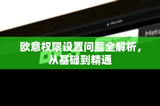 欧意权限设置问题全解析，从基础到精通-第1张图片-OKX欧意官网注册 | 全新 | 数字资产交易平台