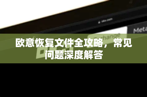 欧意恢复文件全攻略，常见问题深度解答-第1张图片-OKX欧意官网注册 | 全新 | 数字资产交易平台