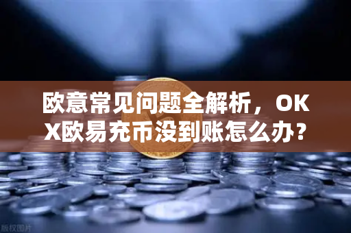 欧意常见问题全解析，OKX欧易充币没到账怎么办？详细步骤与解决方案-第1张图片-OKX欧意官网注册 | 全新 | 数字资产交易平台
