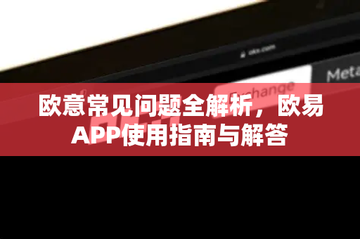 欧意常见问题全解析，欧易APP使用指南与解答