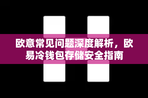 欧意常见问题深度解析，欧易冷钱包存储安全指南