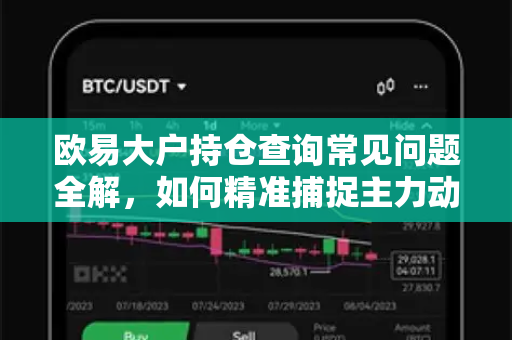 欧易大户持仓查询常见问题全解，如何精准捕捉主力动向？