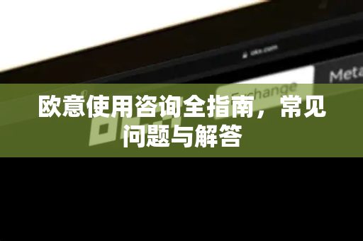 欧意使用咨询全指南，常见问题与解答