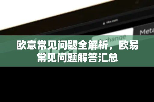 欧意常见问题全解析，欧易常见问题解答汇总