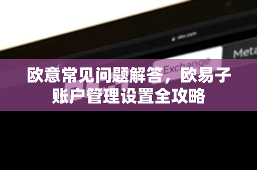 欧意常见问题解答，欧易子账户管理设置全攻略