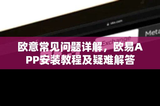 欧意常见问题详解，欧易APP安装教程及疑难解答