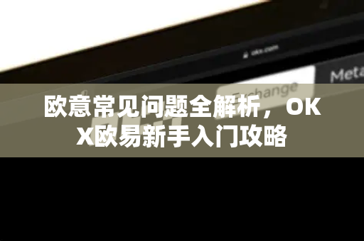 欧意常见问题全解析，OKX欧易新手入门攻略