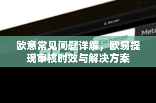 欧意常见问题详解，欧易提现审核时效与解决方案