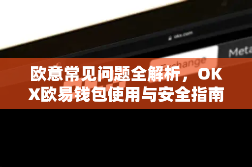 欧意常见问题全解析，OKX欧易钱包使用与安全指南