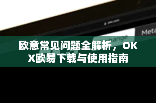 欧意常见问题全解析，OKX欧易下载与使用指南